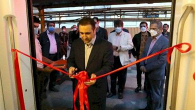 قطار گردشگری