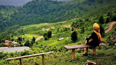 امنیت گردشگران گیلان