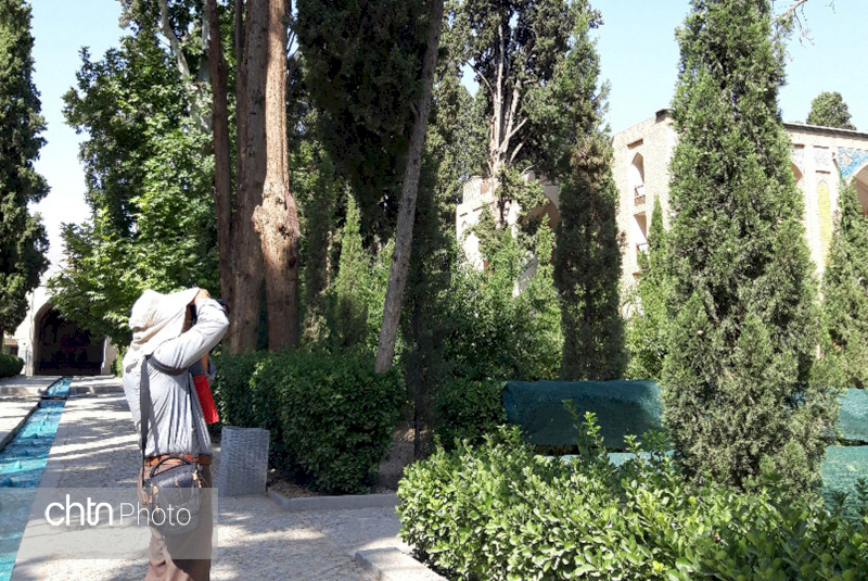 گونه های گیاهی حمام فین کاشان