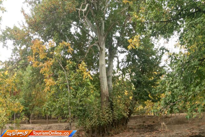 سازه های تاریخی روستای گلابر زنجان