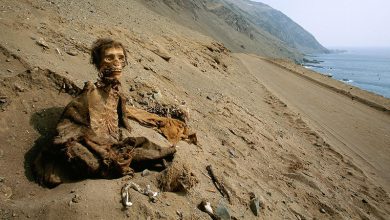 مومیایی چند هزارساله