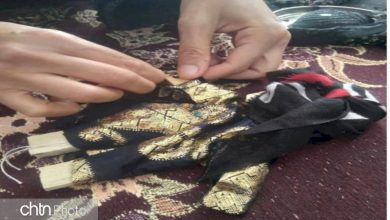 ثبت ملی در شهرستان دلفان