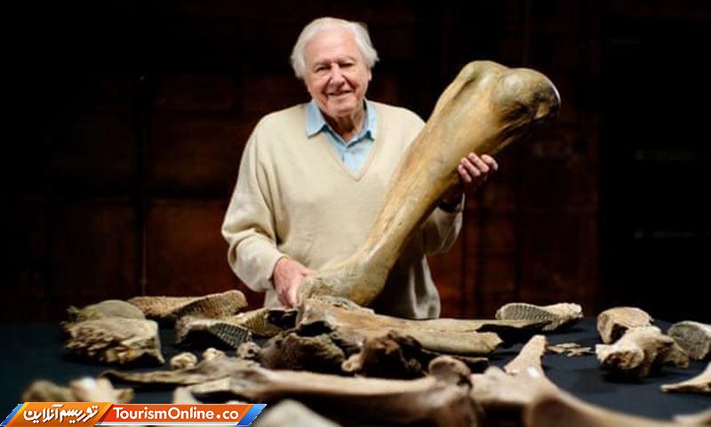 کشف بقایای ماموت عصر یخ