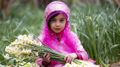 نرگس باغ خفر