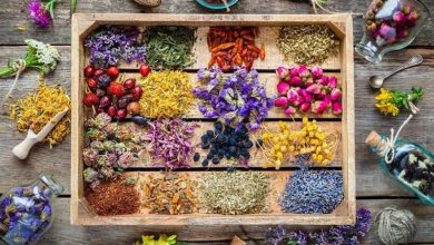 گیاهان دارویی لرستان و سلامت