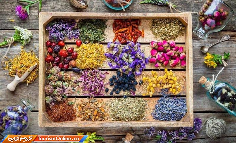 گیاهان دارویی لرستان و سلامت