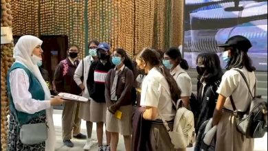 راهنمایان تور پاویون گردی