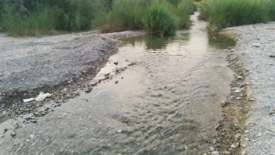 رودخانه دامن ایرانشهر