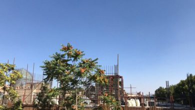 میدان امام اصفهان دیوان عدالت