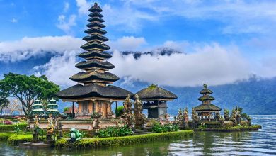 کرونا و جزیره بالی