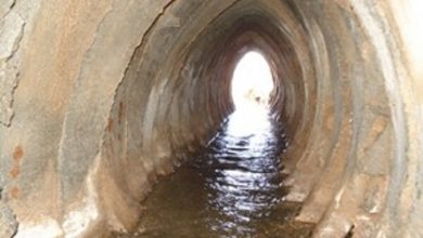 قنات های استان کرمان