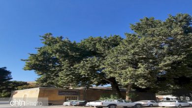 ثبت ملی اثر طبیعی در لرستان