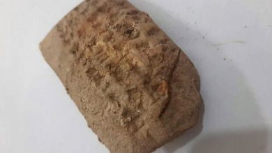 همایش ملی میراث زبانی