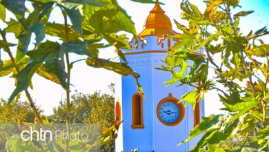 کشورهای عضو اکو ساری