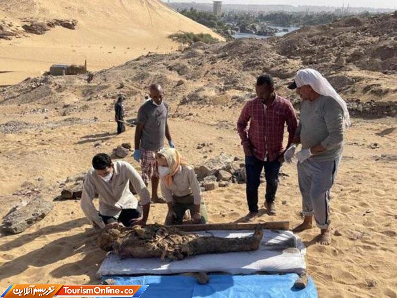 کشف مقبره مومیایی در مصر