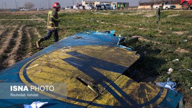 هواپیمای اوکراین