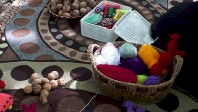 عروسک گردویی اقلید