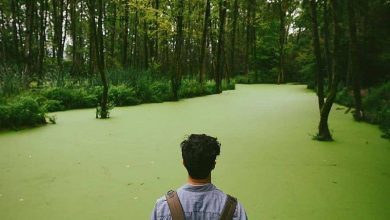 مرداب سراوان