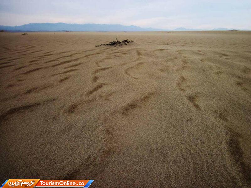 شهرستان زرند