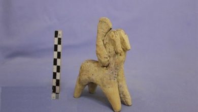 کشف پیکر اسب سفالی