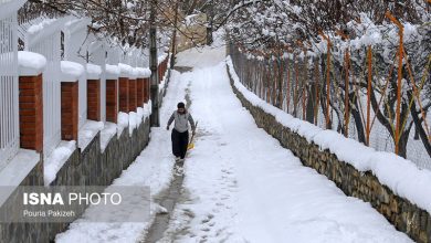 کوچه باغ همدان