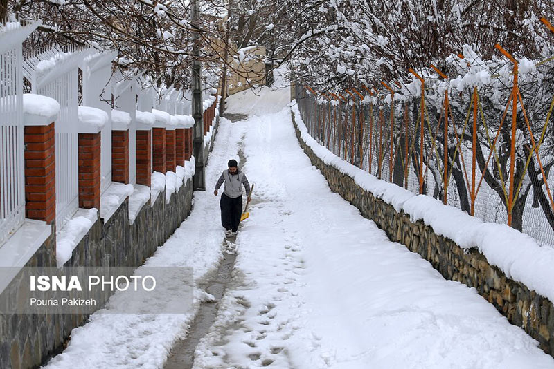 کوچه باغ همدان