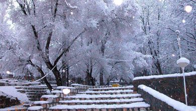 جشن میانه زمستان