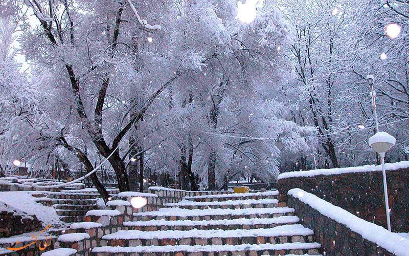 جشن میانه زمستان