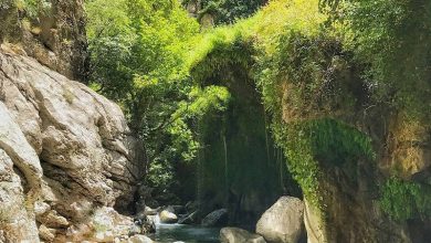 تنگ لیتون یاسوج