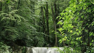 آبشار لونک سیاهکل