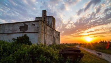 جزیره آشوراده