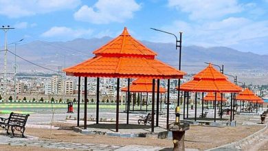 بندر چارک شیبکوه