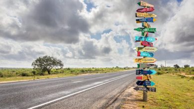 سفر بهبود یافتگان از کرونا