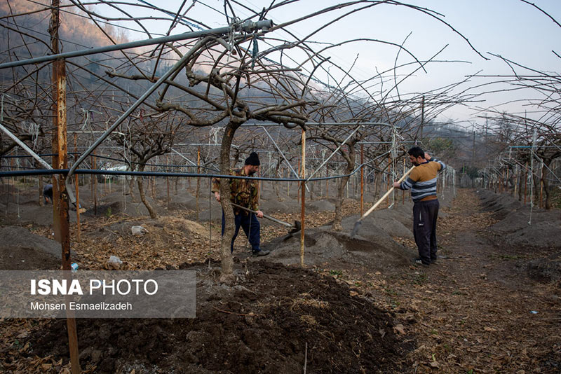 مناطق ییلاقی تالش