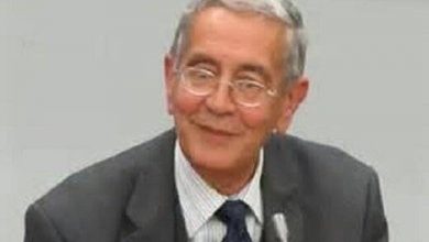 افغانستانی