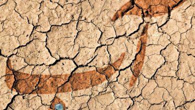 خشکسالی