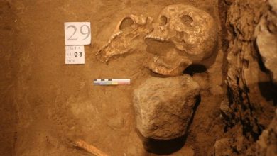 گور باستانی