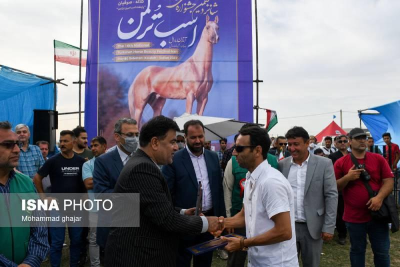 جشنواره ملی زیبایی اسب اصیل ترکمن