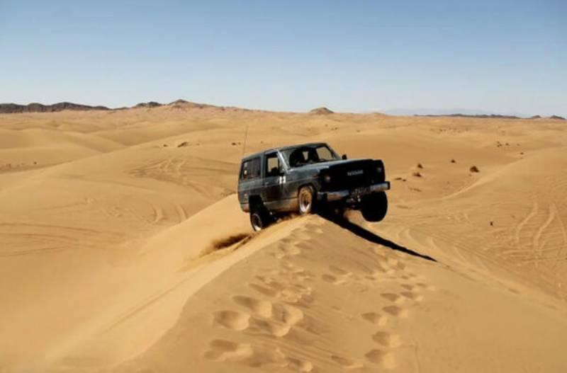 یک دور سافاری