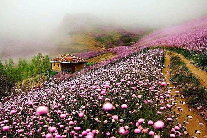 سراگاه تالش