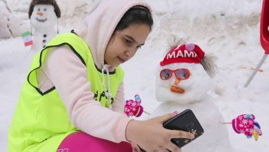 جشنواره آدم برفی