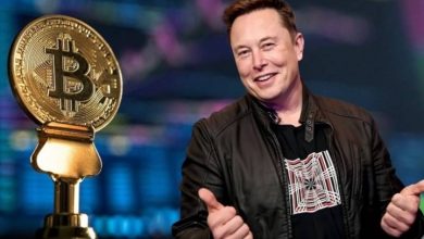 ثروت ایلان ماسک