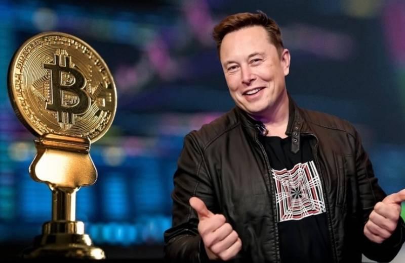 ثروت ایلان ماسک