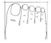 وقتی شکل پاها شخصیت شما را برملا می کند !