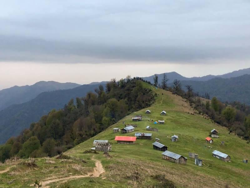 اولسبلنگاه