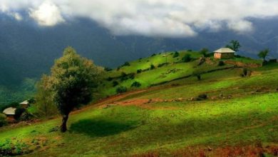 سفرخانوادگی