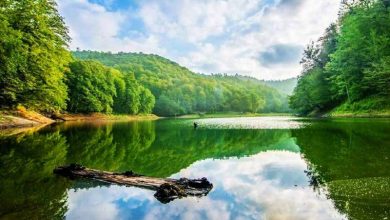 دریاچه چورت