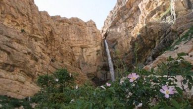 قدم به جهنم سفید