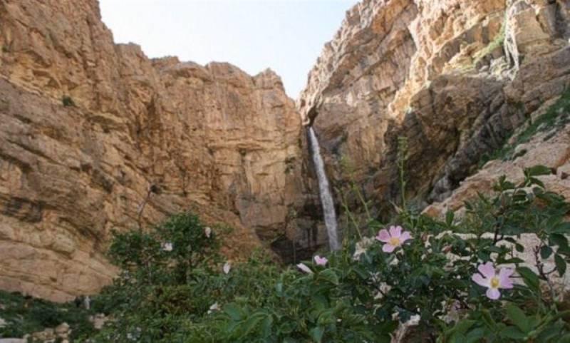 قدم به جهنم سفید