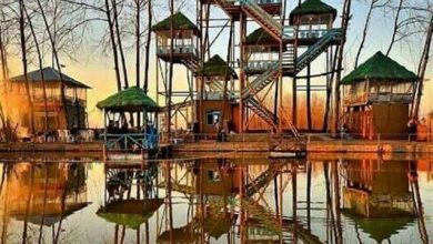 هتل درختی خمام